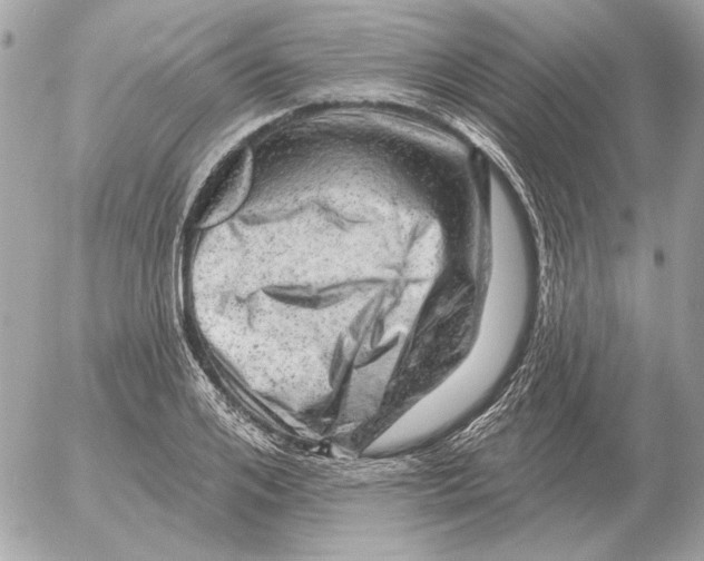 X0000052640984200507221811