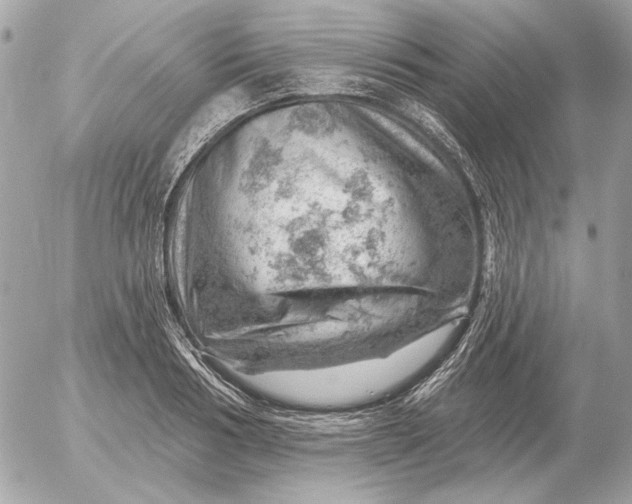 X0000052640986200507221811