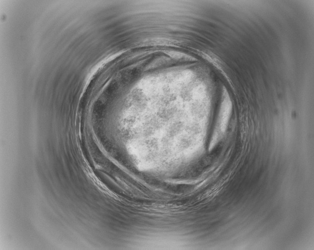 X0000052640987200507221811