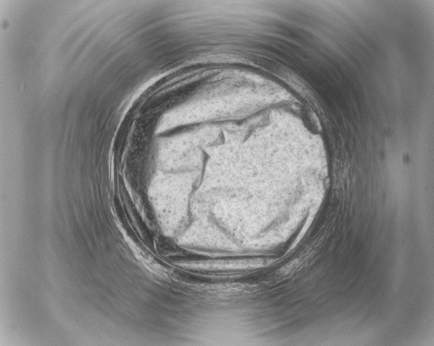 X0000052640988200507221811