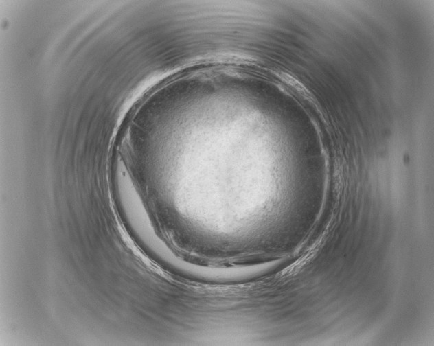 X0000052640989200507221811