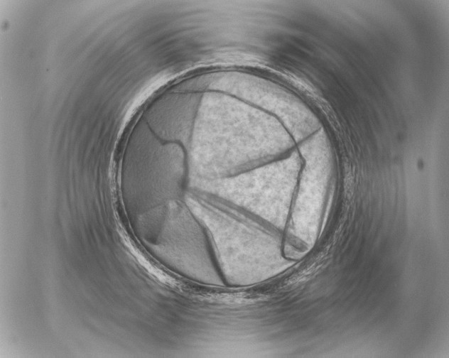 X0000052640990200507221811