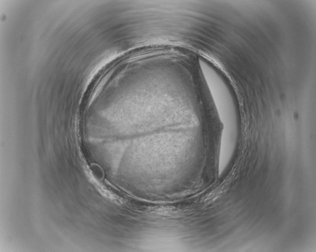 X0000052640991200507221811