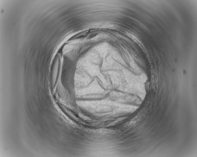 X0000052640992200507221811