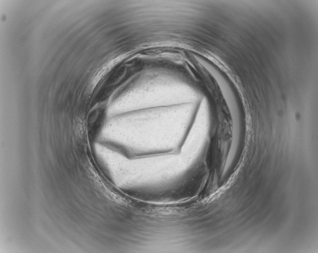 X0000052640993200507221811