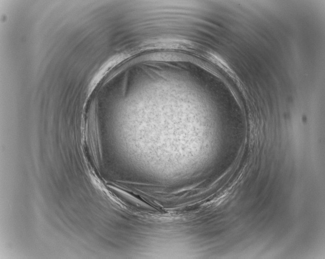 X0000052640994200507221811