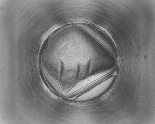 X0000052640995200507221811