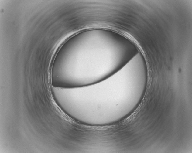 X0000052640996200507221811