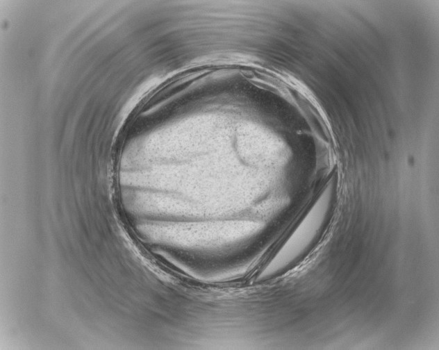 X0000052640997200507221810