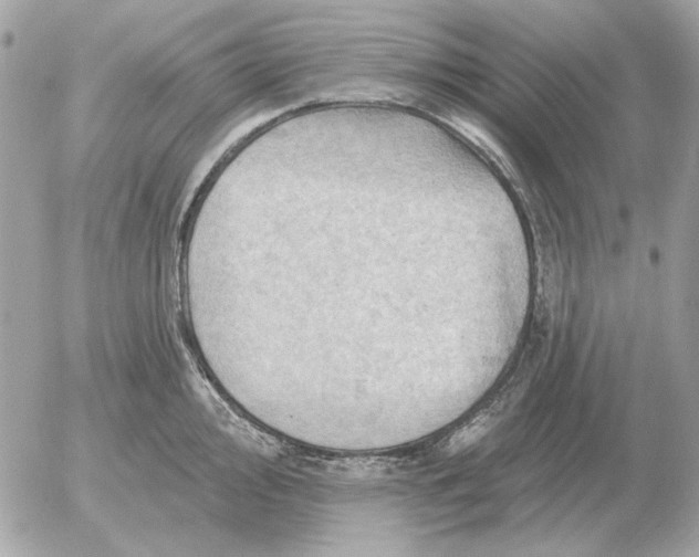 X0000052641000200507221810