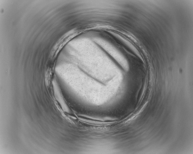 X0000052641001200507221810