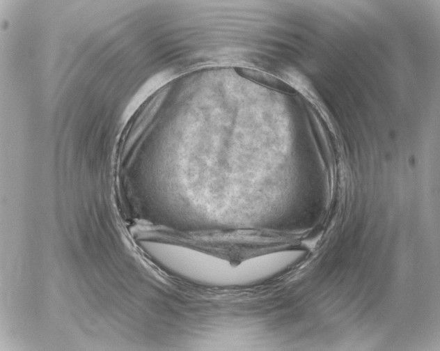 X0000052641002200507221810