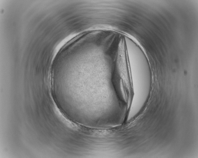 X0000052641003200507221810