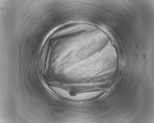 X0000052641004200507221810