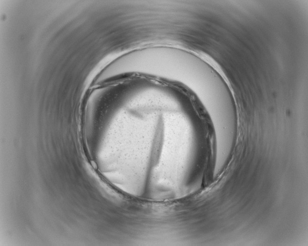 X0000052641005200507221810