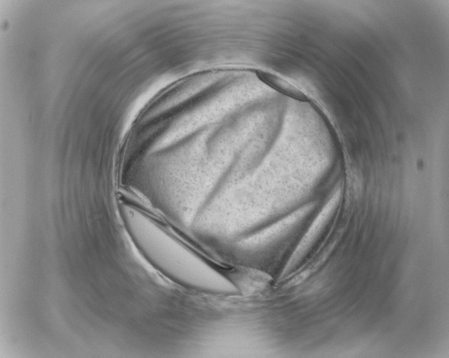 X0000052641006200507221810