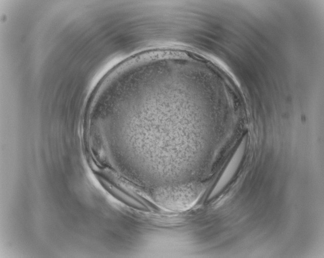 X0000052641007200507221810