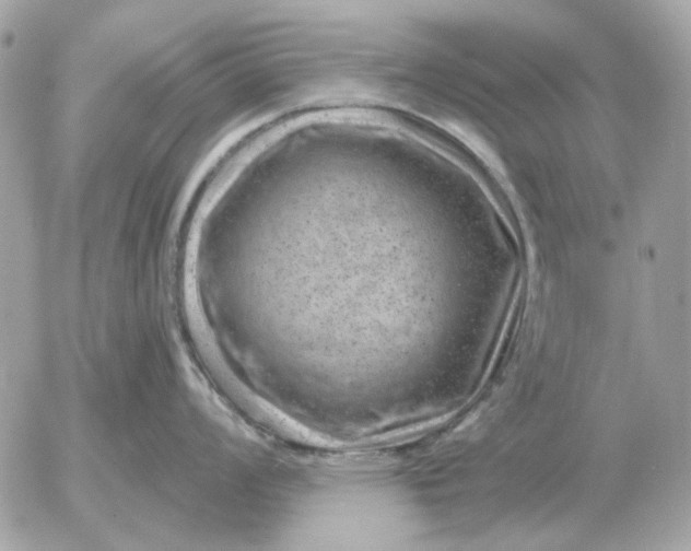 X0000052641008200507221810