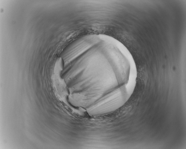 X0000052641009200507221810