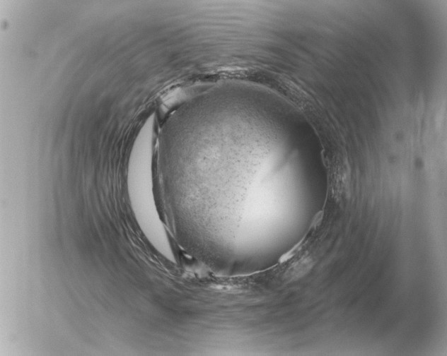 X0000052641010200507221810