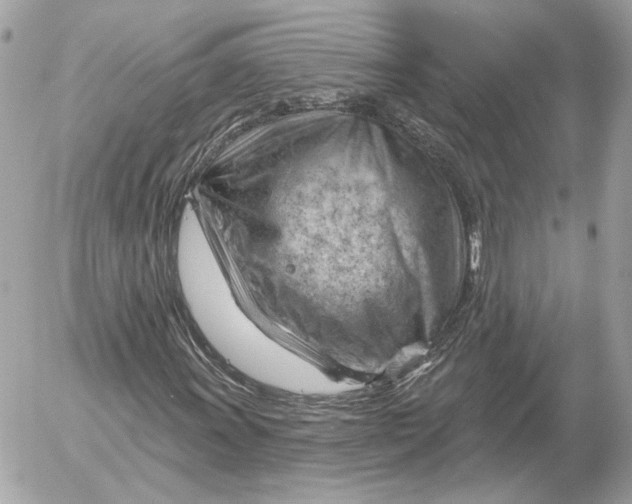 X0000052641011200507221810