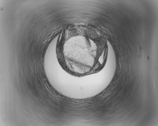 X0000052641012200507221810