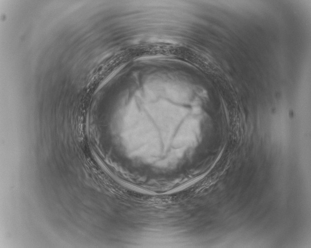 X0000052641013200507221810