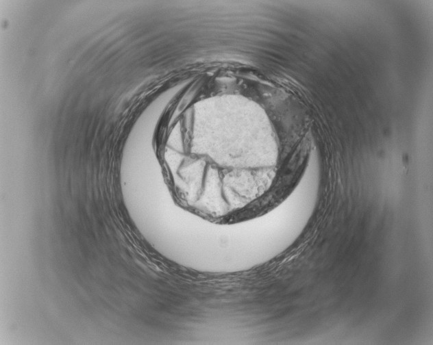 X0000052641014200507221810