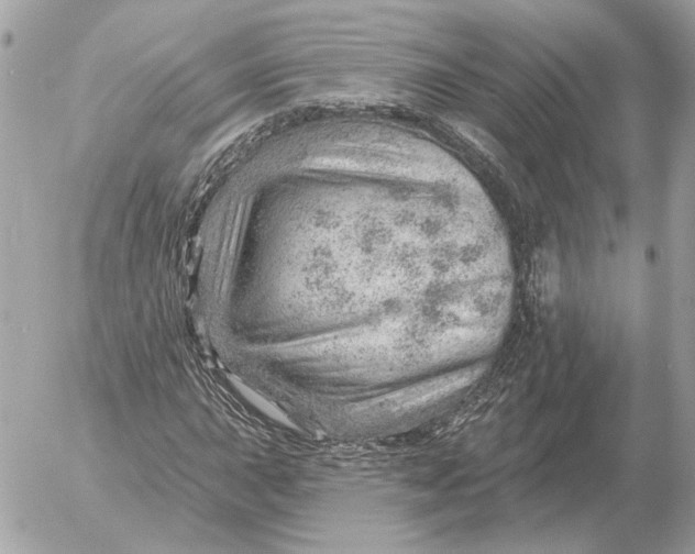 X0000052641015200507221810