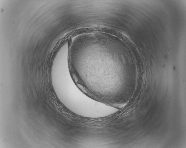 X0000052641016200507221810