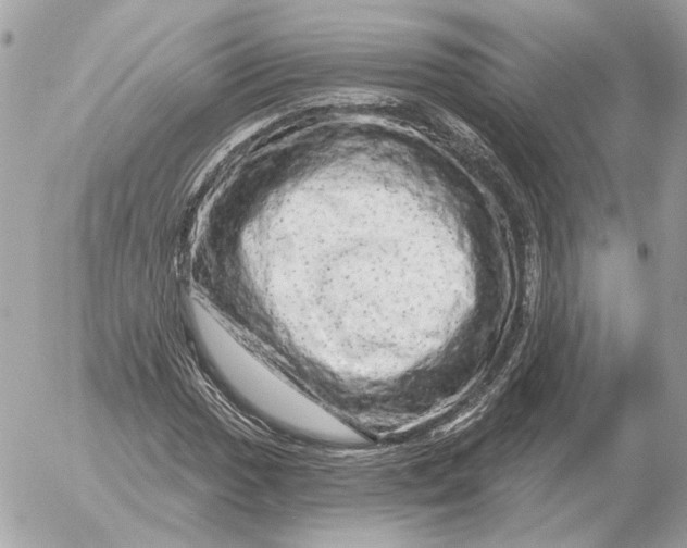 X0000052641017200507221810