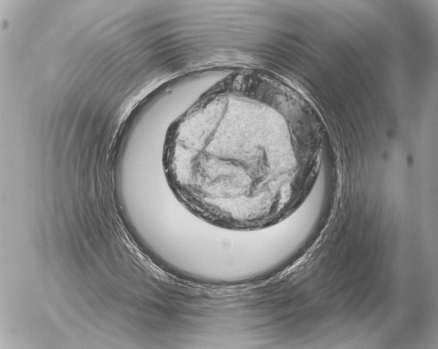 X0000052641018200507221810