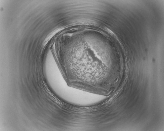 X0000052641019200507221810