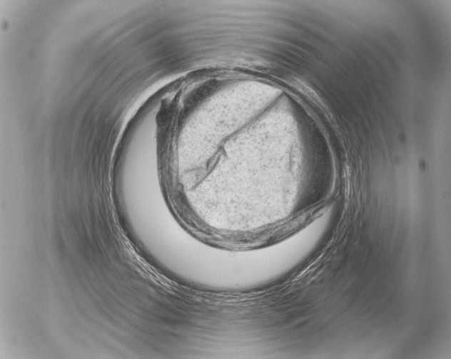 X0000052641020200507221810