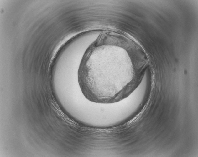 X0000052641021200507221810