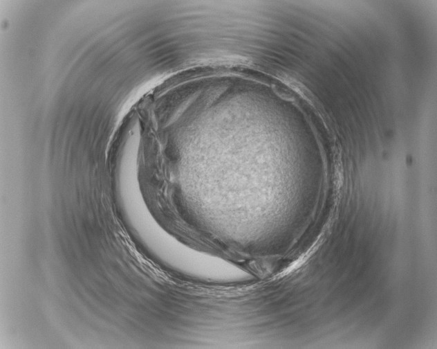 X0000052641022200507221810