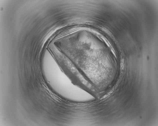 X0000052641023200507221810