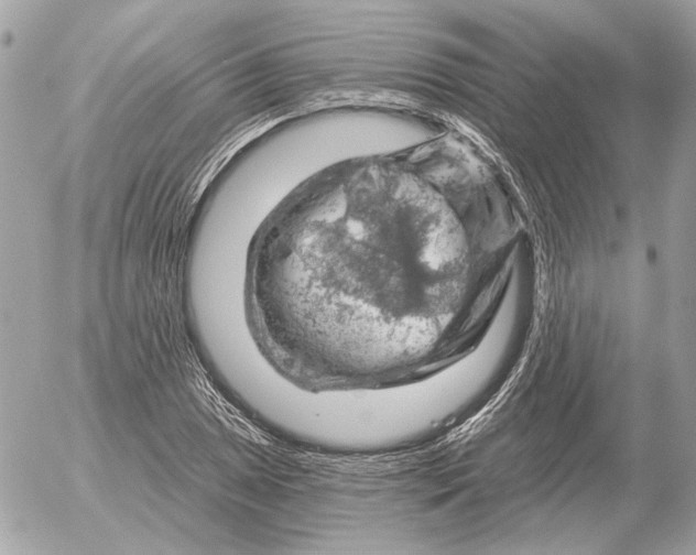 X0000052641025200507221810