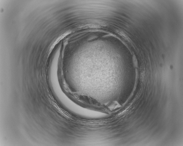 X0000052641026200507221810