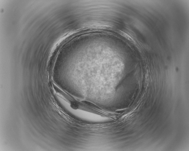 X0000052641027200507221810