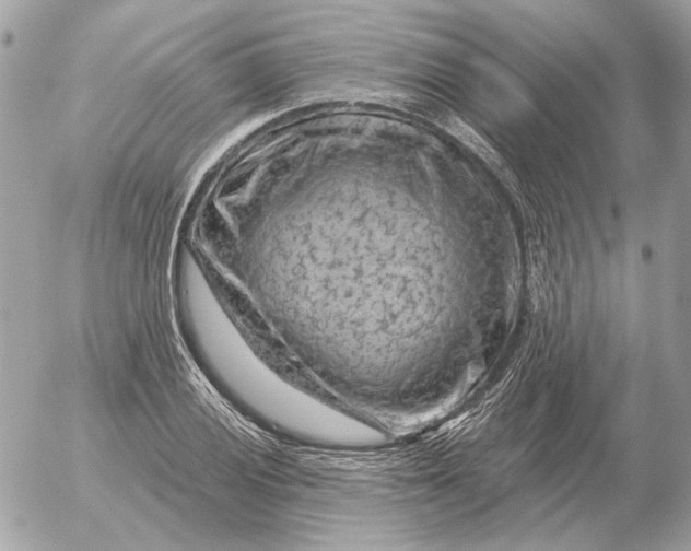 X0000052641028200507221810