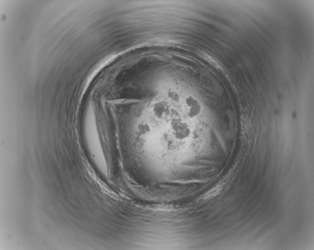 X0000052641029200507221810