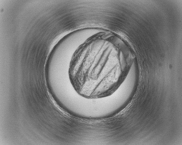 X0000052641030200507221810