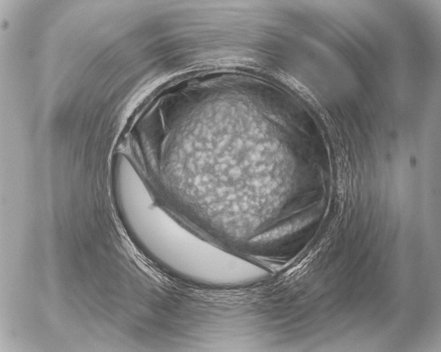 X0000052641031200507221810