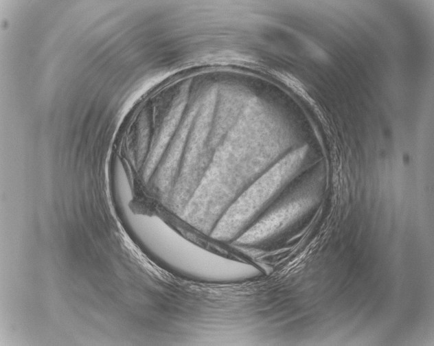 X0000052641032200507221810