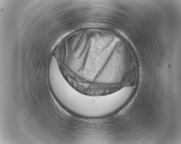 X0000052641033200507221810