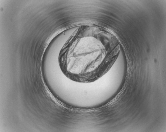 X0000052641034200507221810