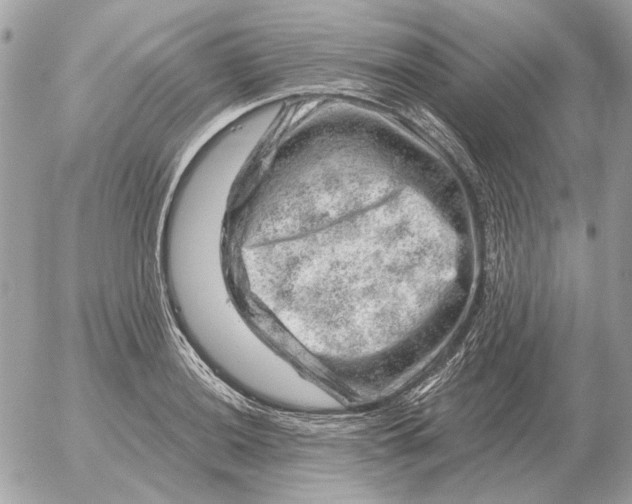 X0000052641036200507221810