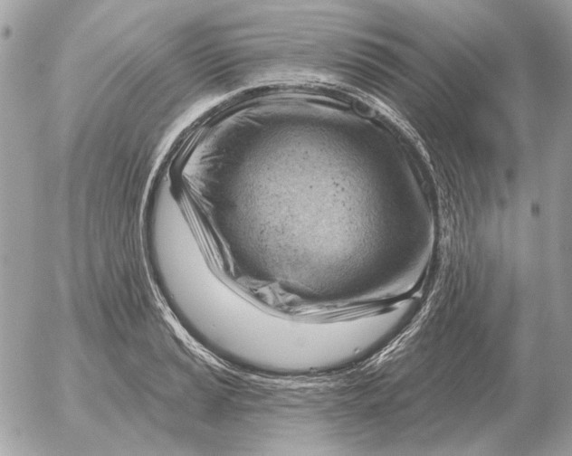 X0000052641037200507221810