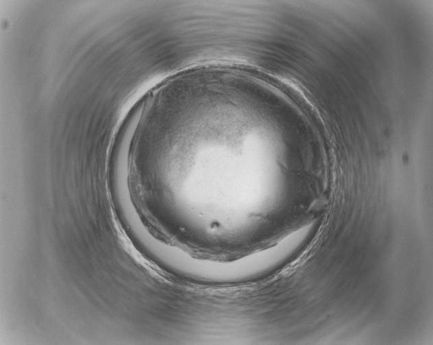 X0000052641038200507221810